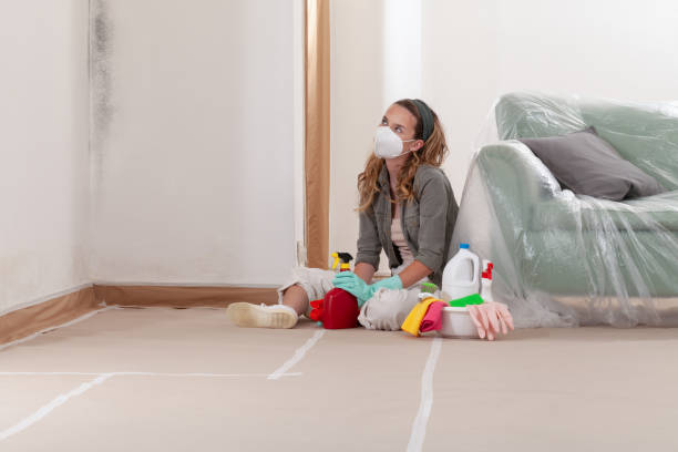 Reliable Mold Remediation contractor in Manasquan, NJ by 24 Hour Mold Removal